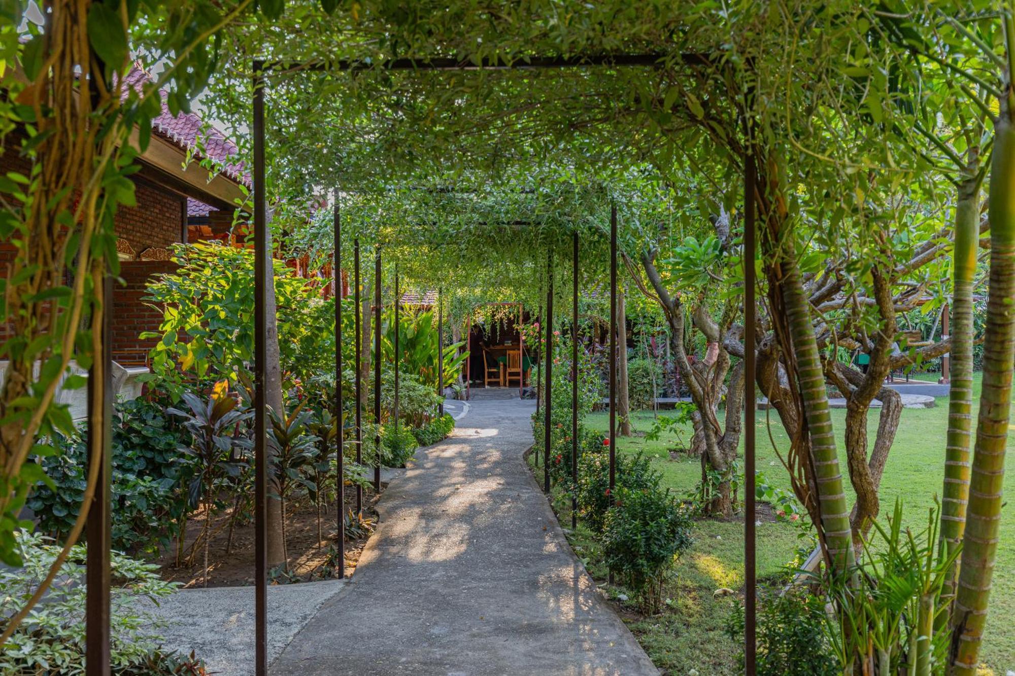 Taman Bidadari Eco Wellness Hotel Pemuteran Buitenkant foto